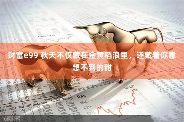 财富e99 秋天不仅藏在金黄稻浪里，还藏着你意想不到的甜